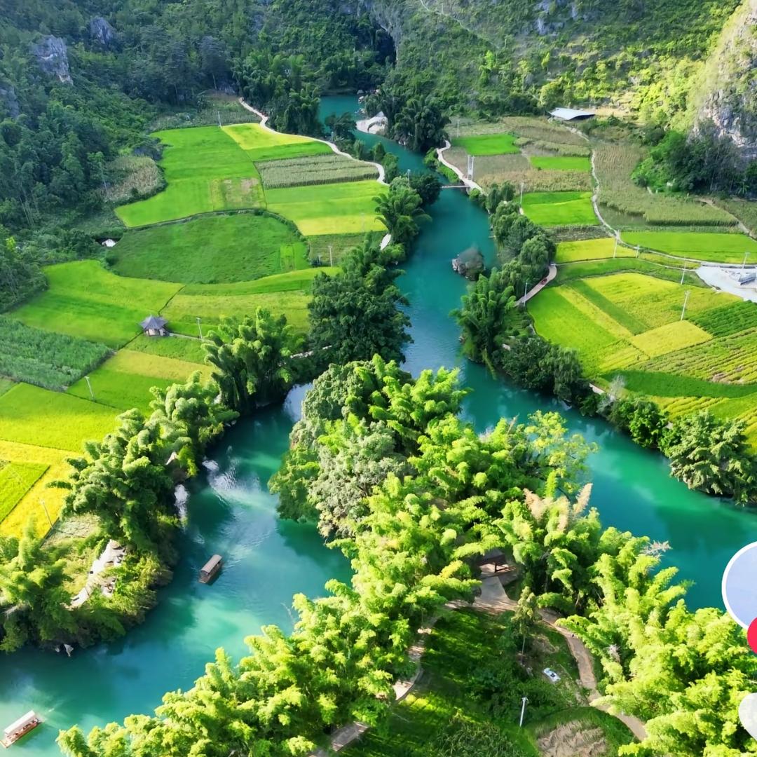 罗甸县井儿泳装店(创业版)