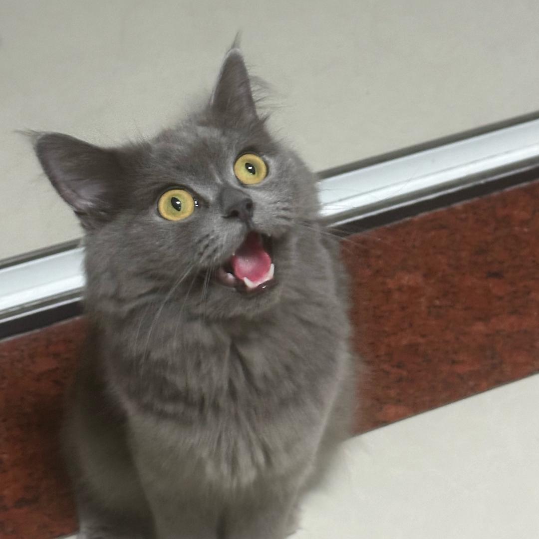 和水