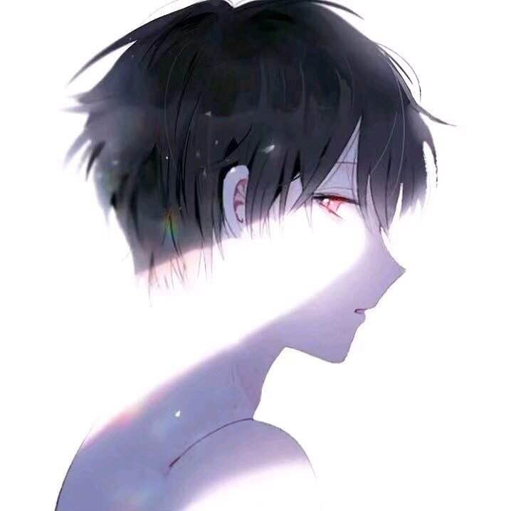 文文也很稳