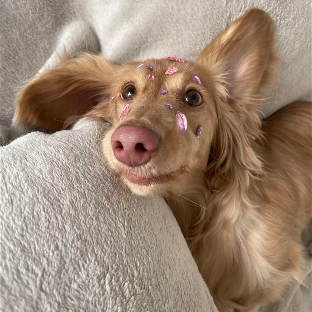 糖果超甜（朋友圈）