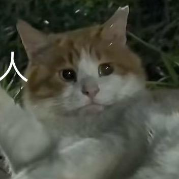 嘻嘻嘻嘻