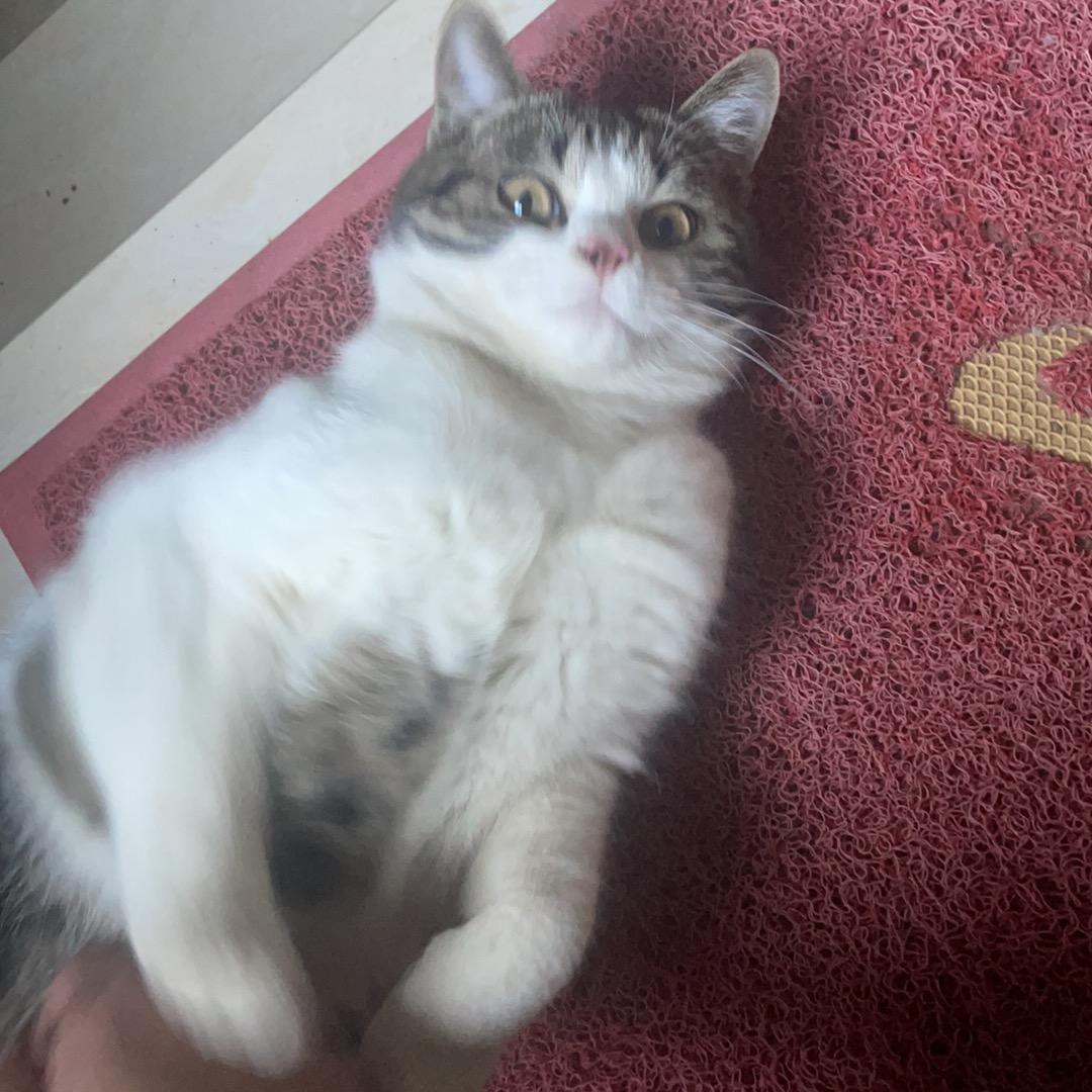 nuyoah