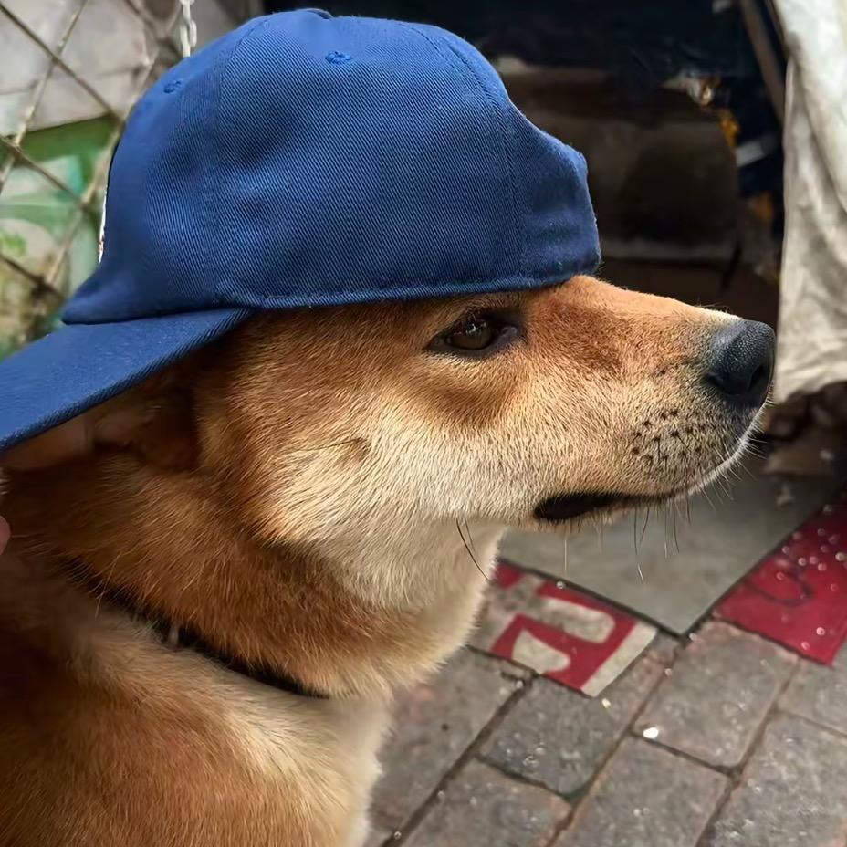 ᙆʰ