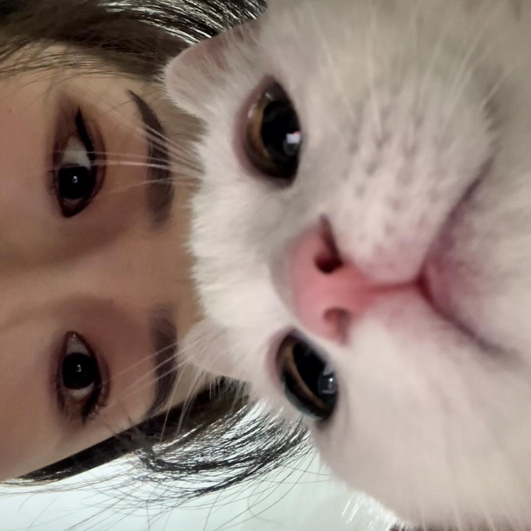 一只幸运猫🐈ॱଳ͘