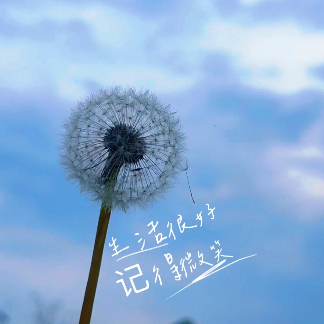 💞ぬ༽巧༼是你༄༅