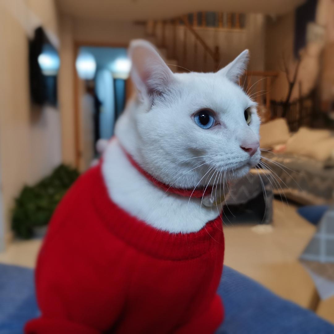 静静超爱玩