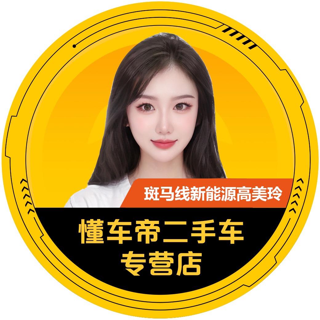 懂车帝 斑马线新能源玲玲
