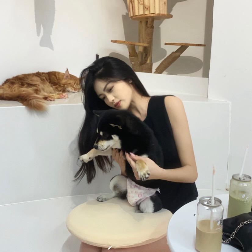 小新与恐龙