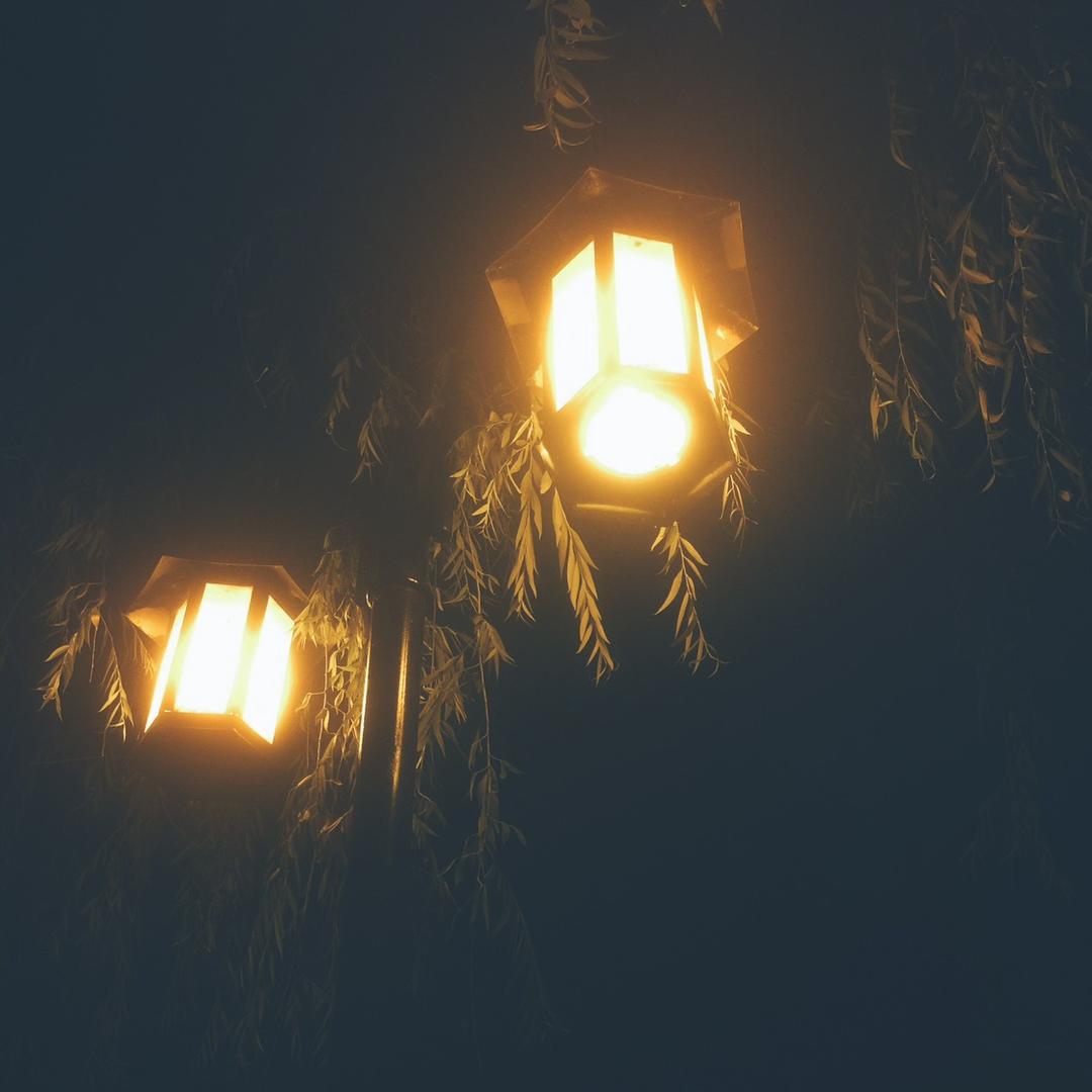 蛋挞。