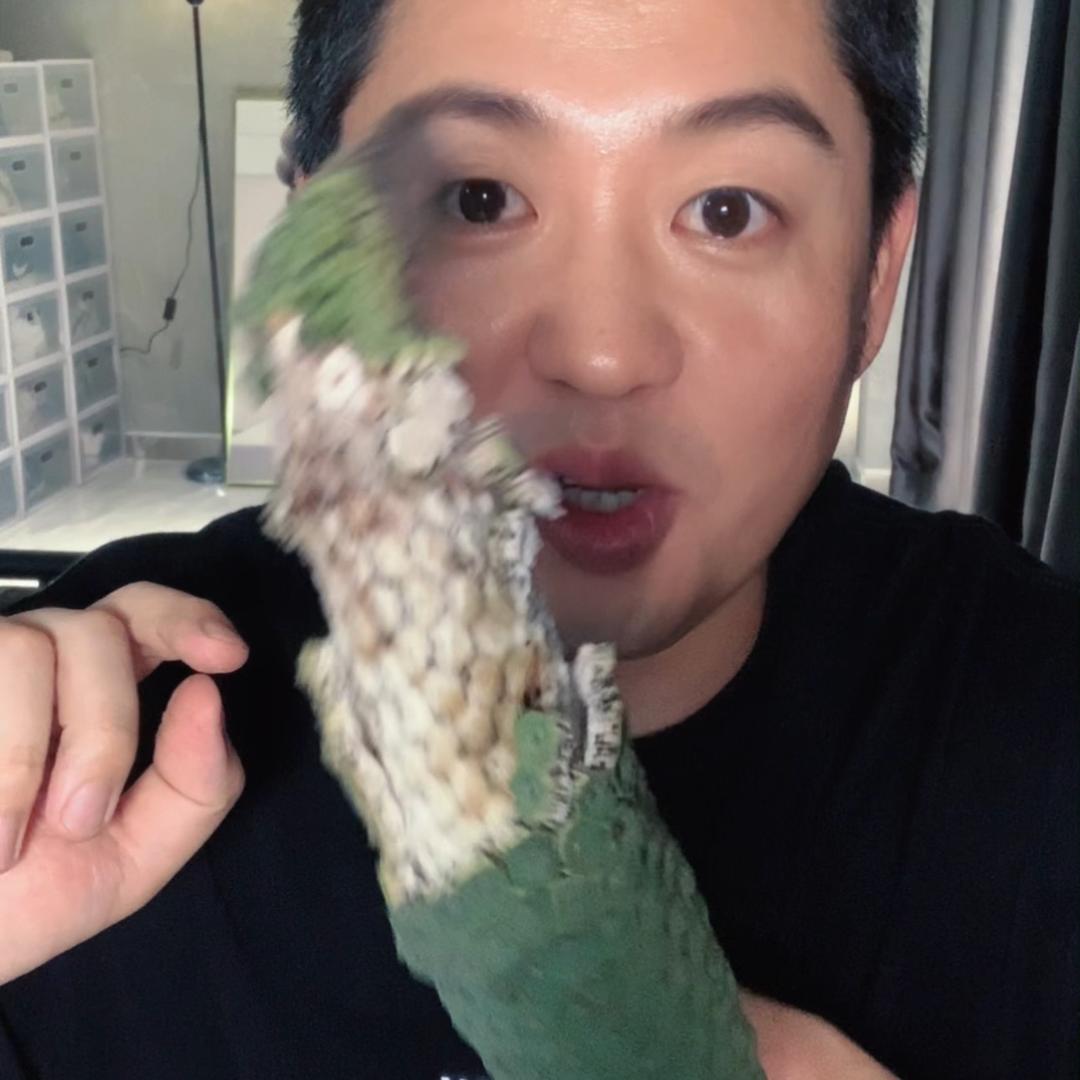 我叫《国宝🐼》