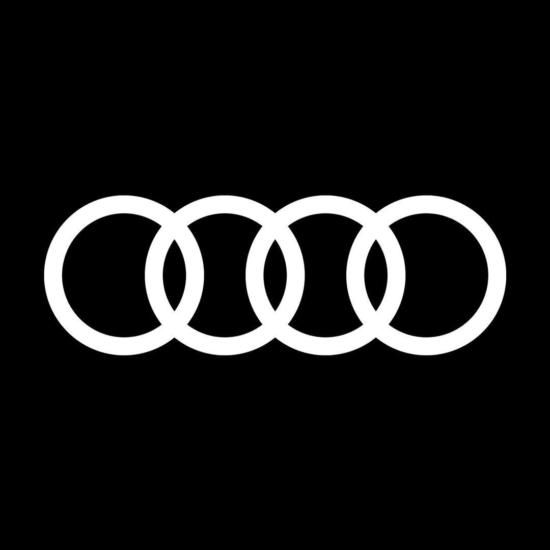 一汽奥迪新能源-柳州合隆