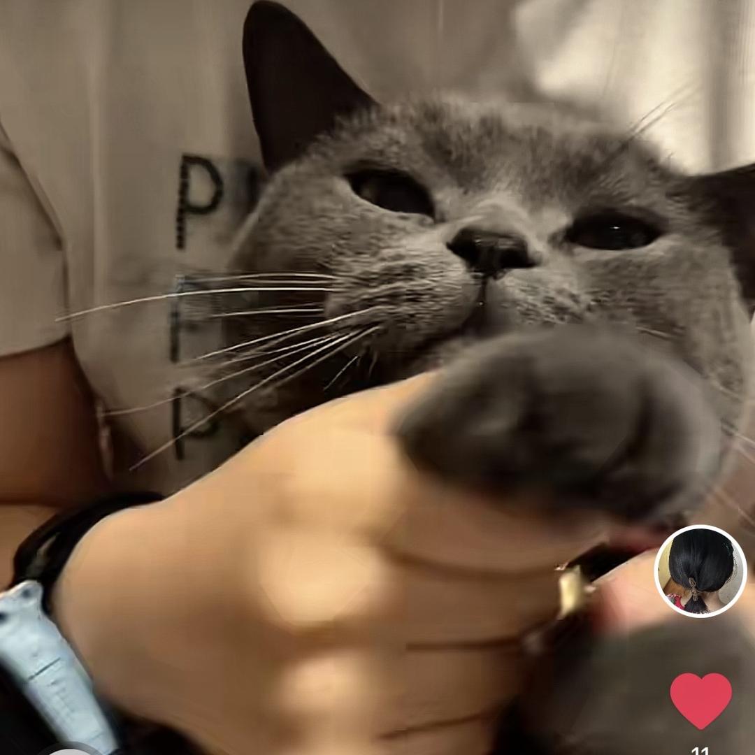 武汉市武昌区卢渔文艺工作室