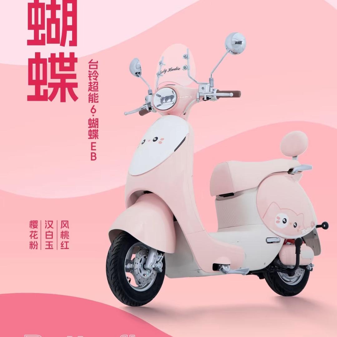 台铃电动车（河西店）