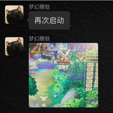 愚