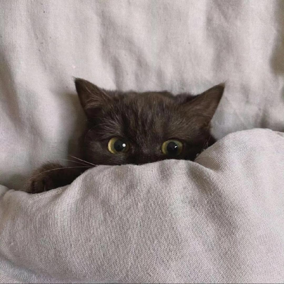 777