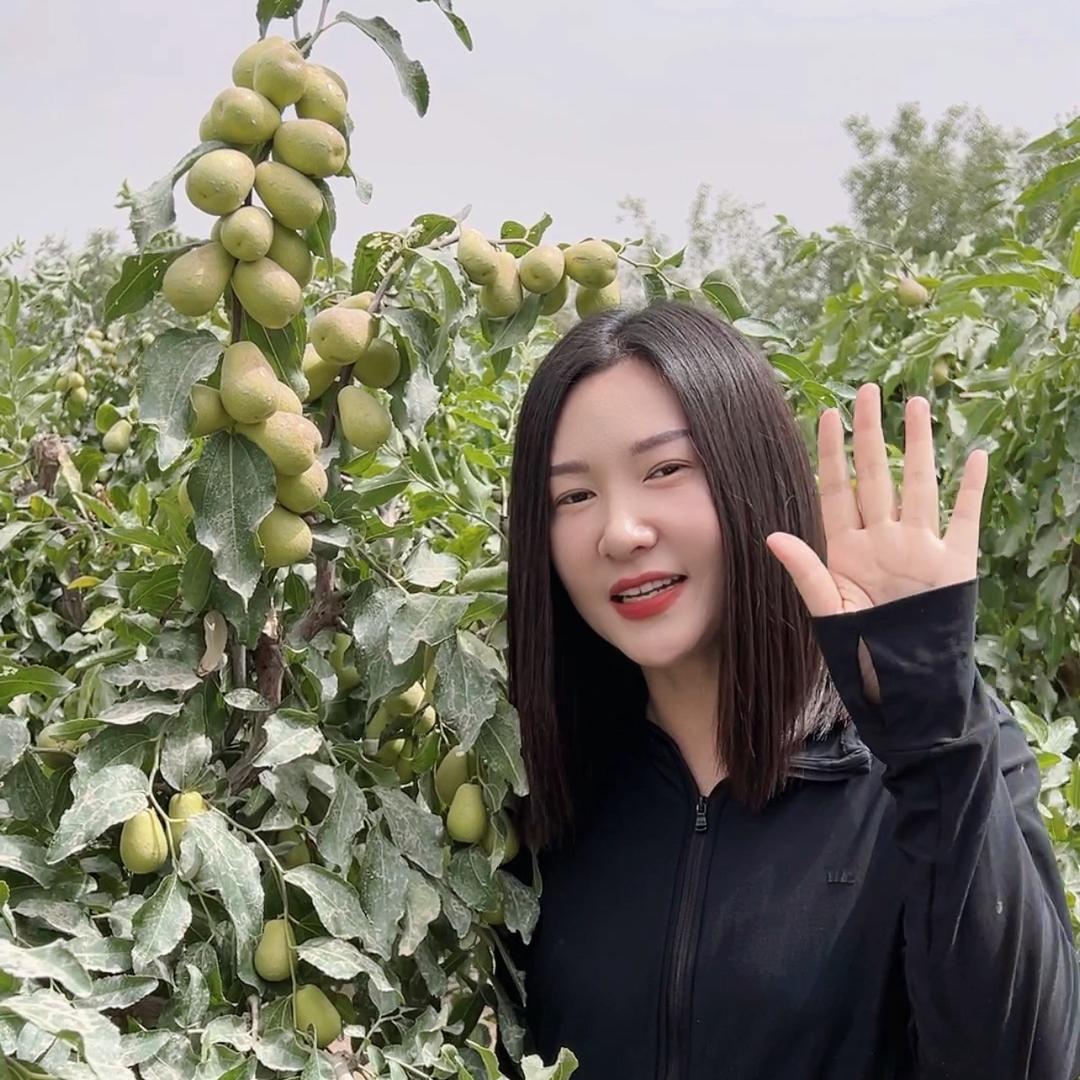 新疆大妹子农产品