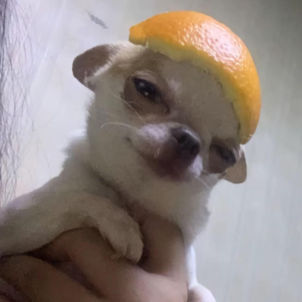 飞天牛头