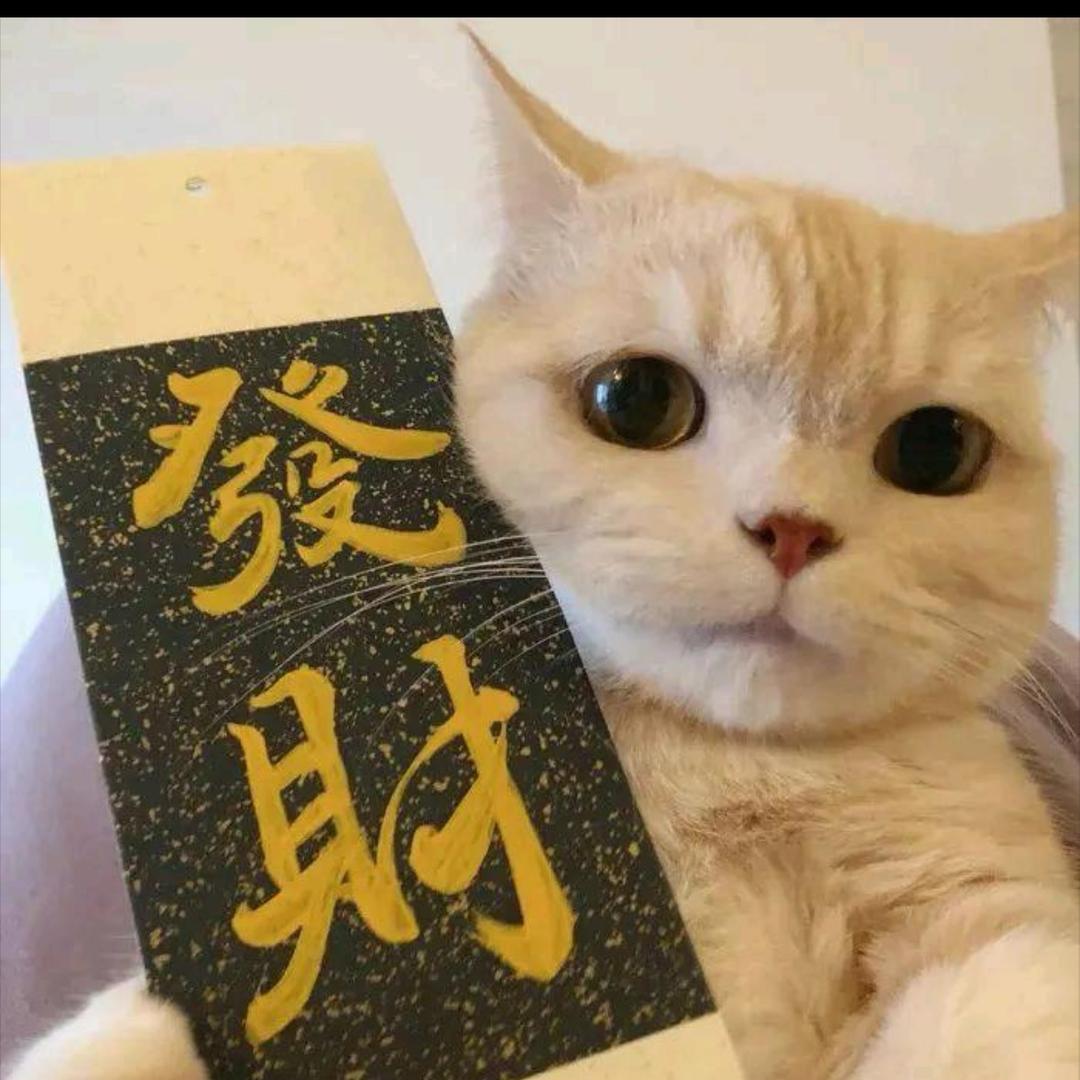 发财喵୭ ²⁰²⁵