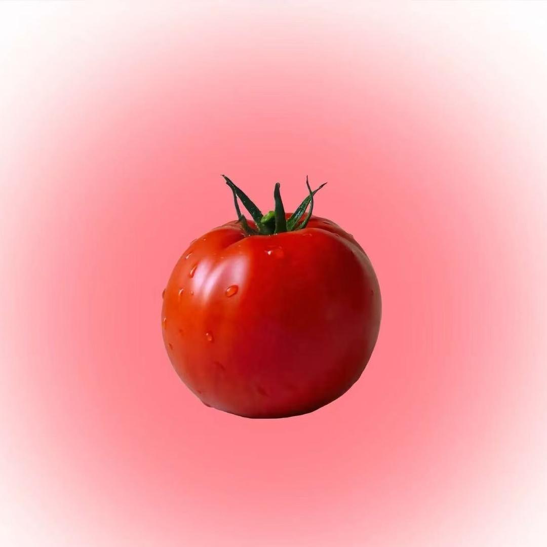 关你西红柿🍅