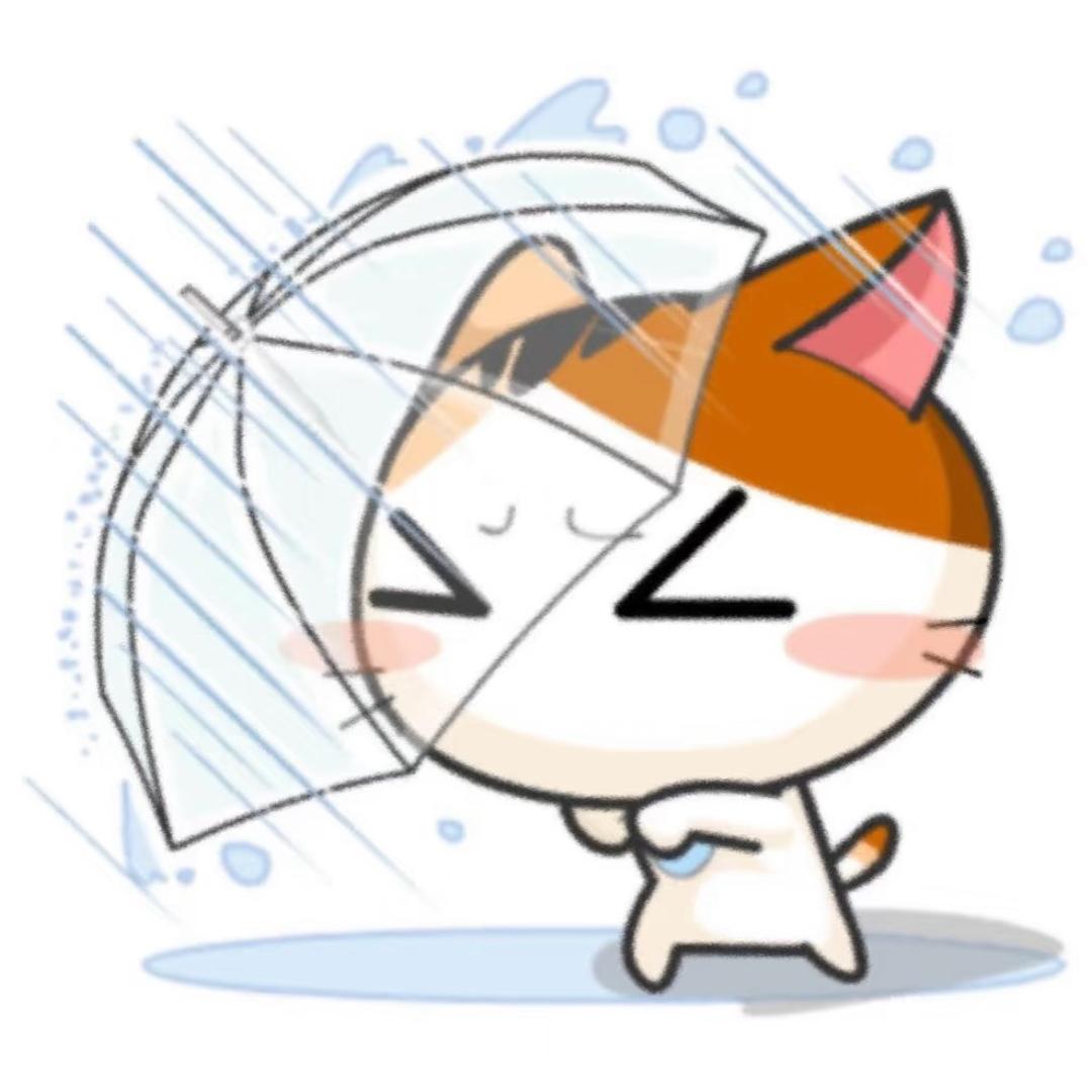 泪流满面的起司猫