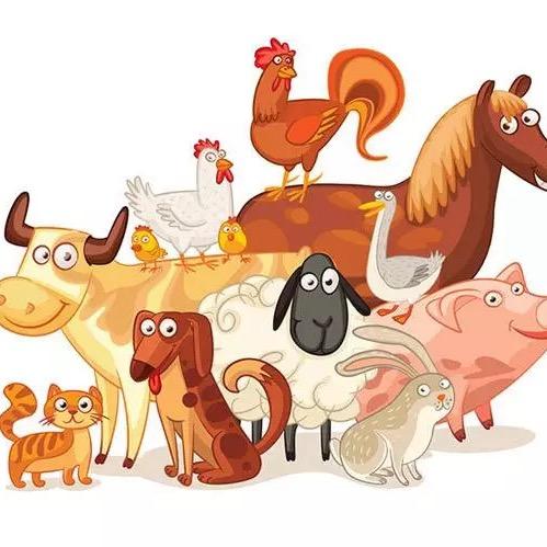 熊猫家的宠物们🐱🐶🐑🐔