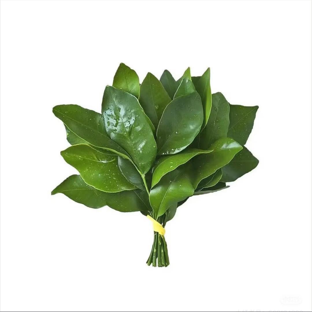 陈陈的梦想
