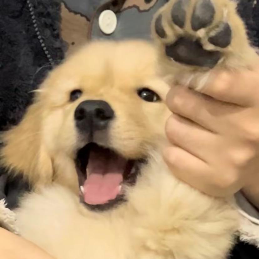 吃了个泡泡（互关版）