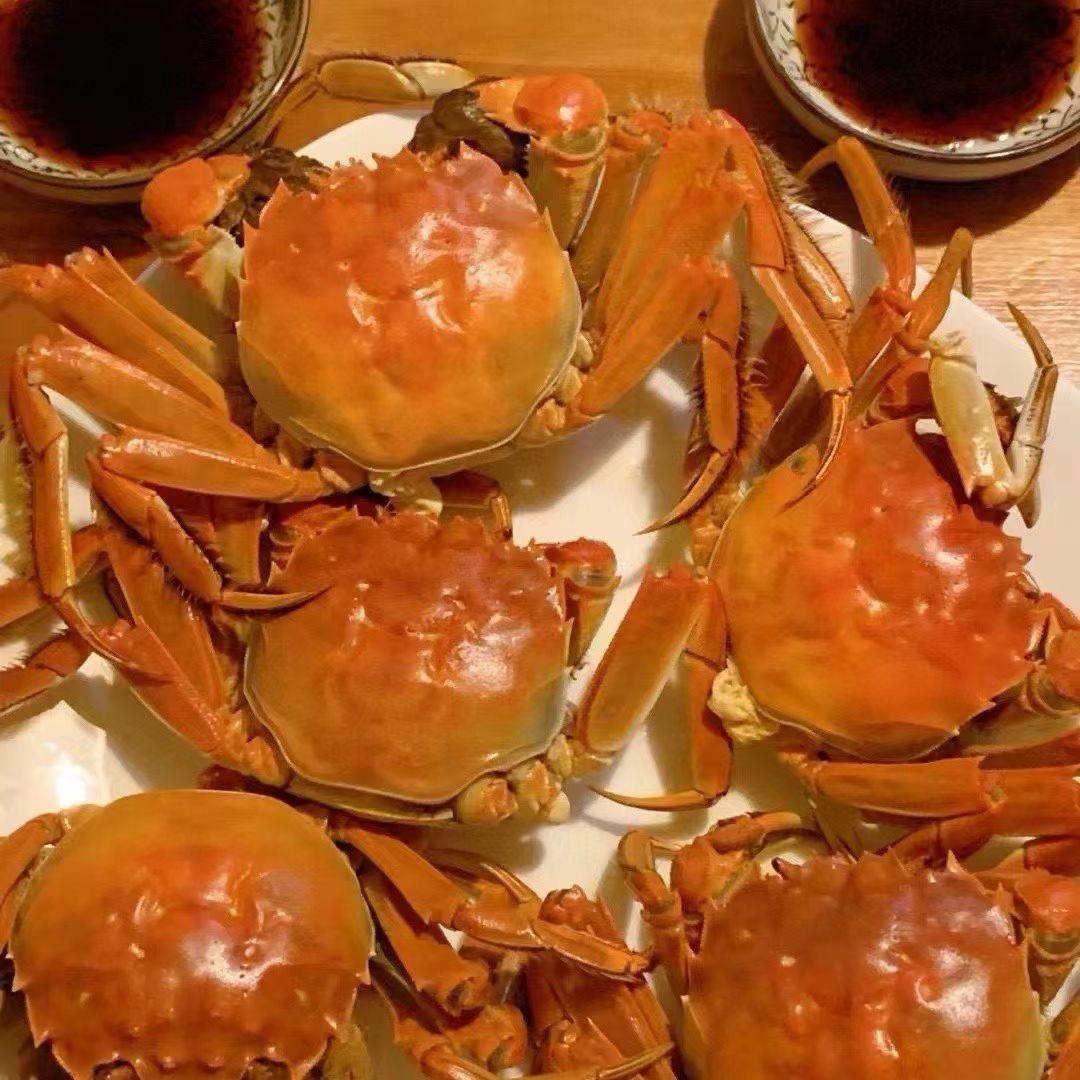 长春精品蟹养殖