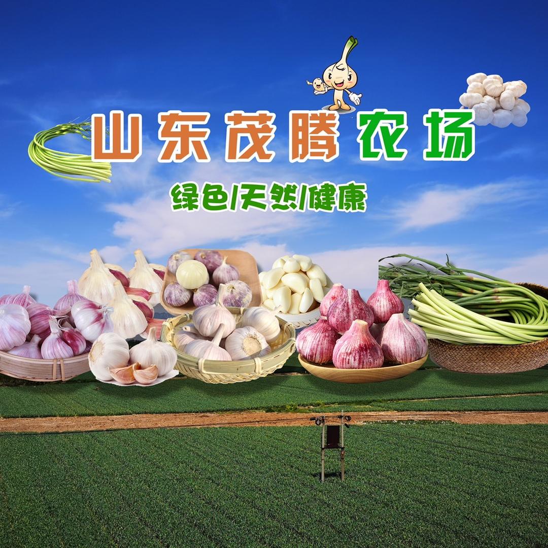 山东茂腾农场有限公司