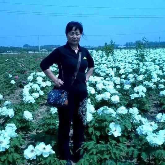 丹姐早上五点半开播