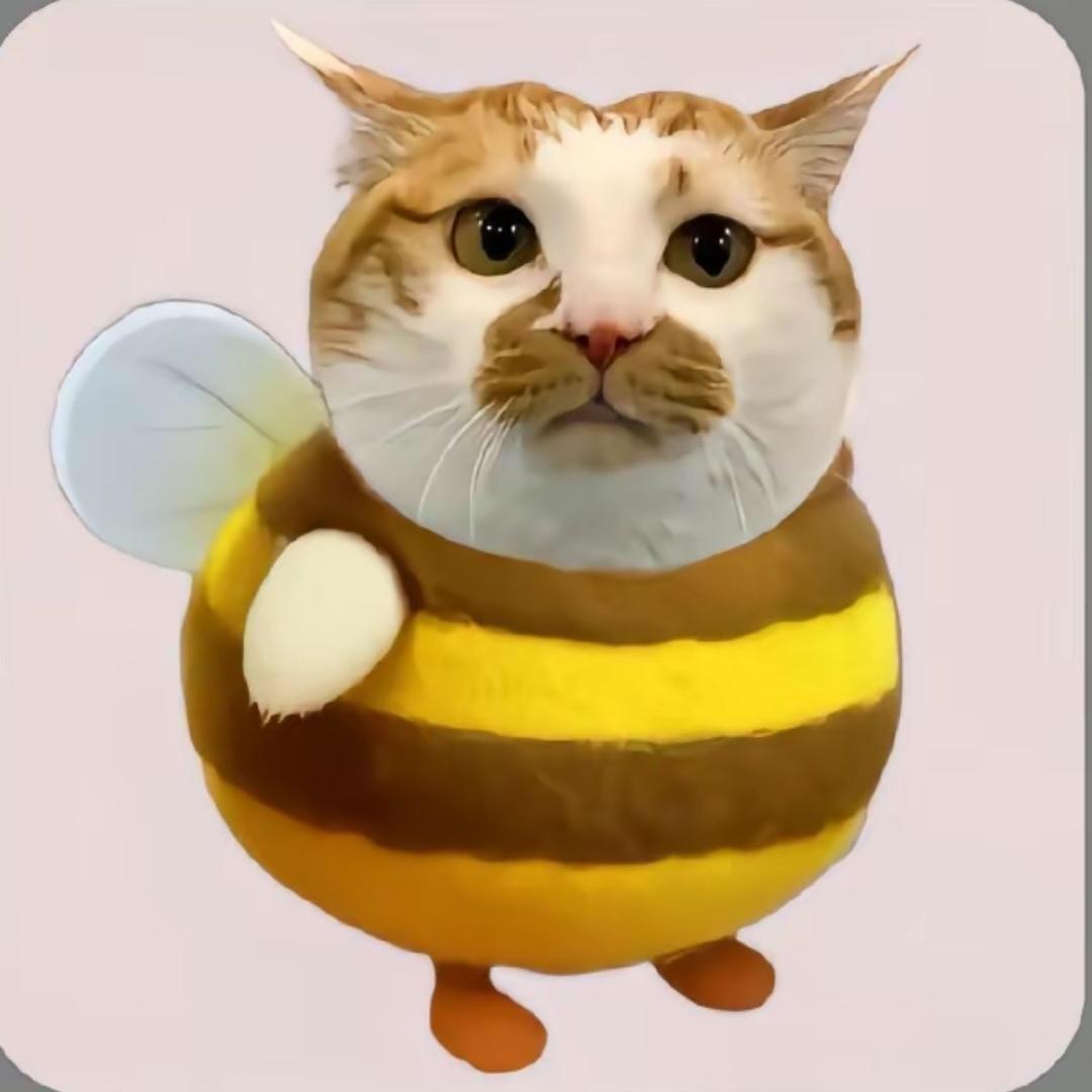 黄小仙（努力版）