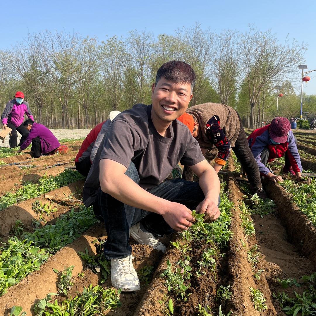 小雷家的有机田园