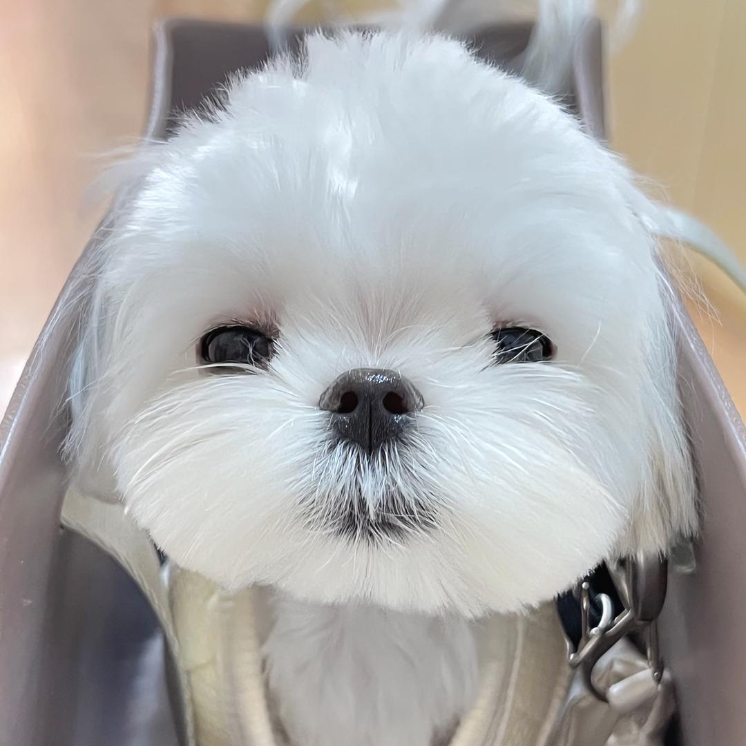 白板板