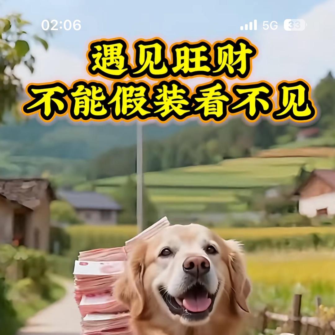绿优生态甲鱼养殖基地