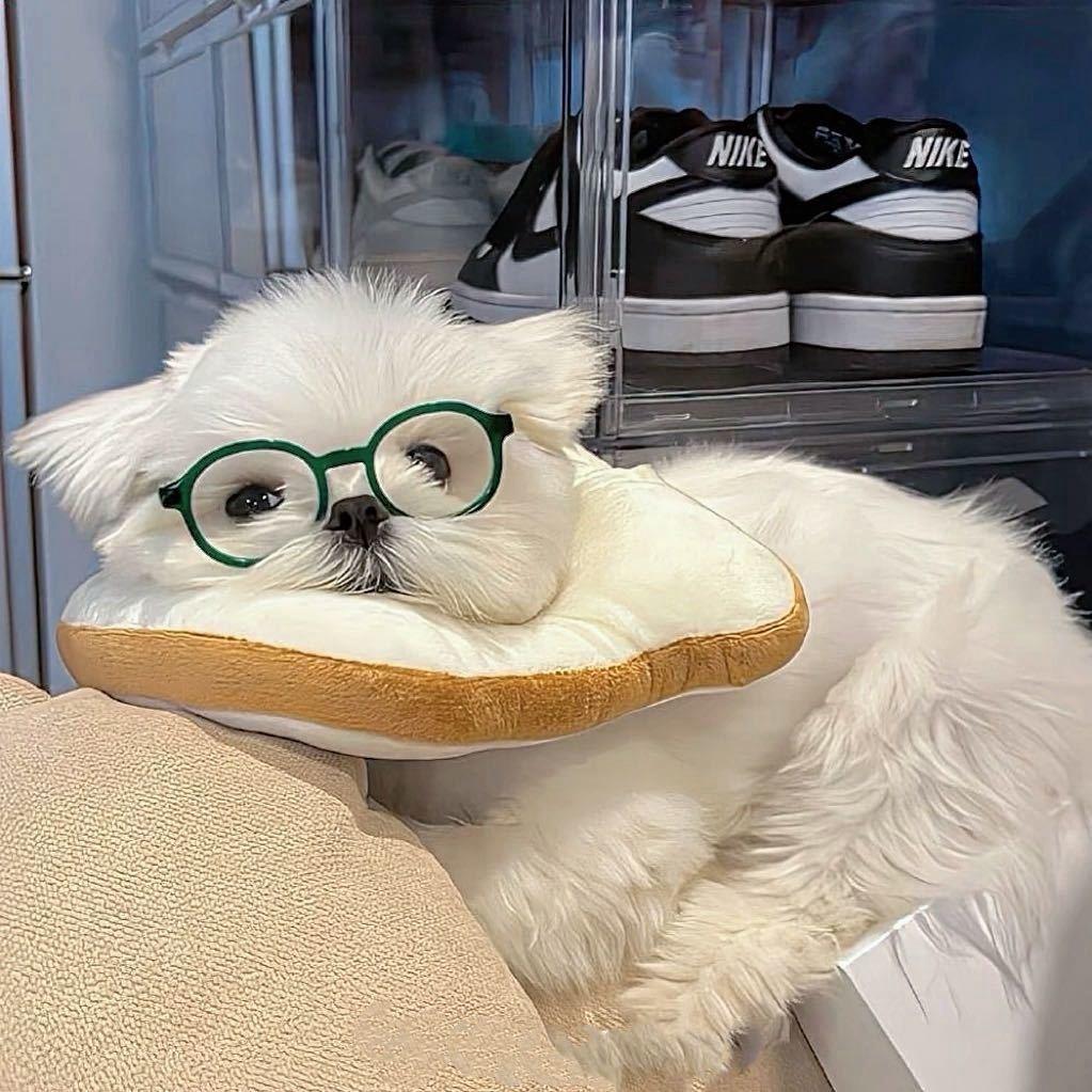 重生之年我在收闲置