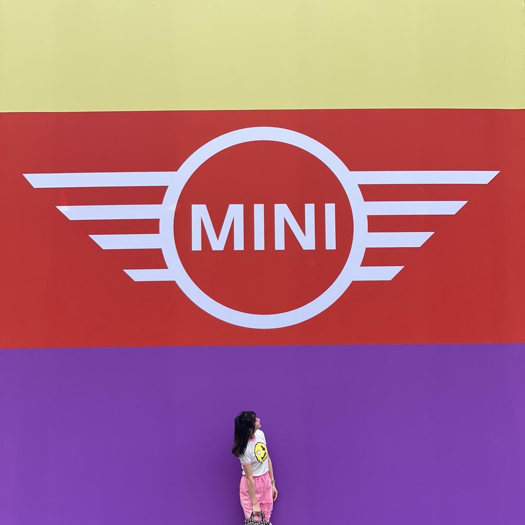 成都新野mini二手车