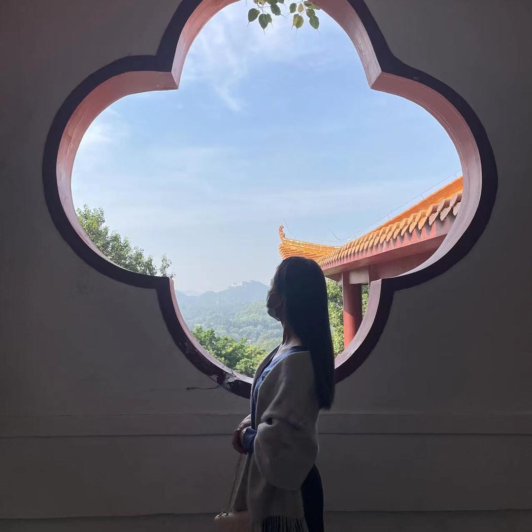 南柯一梦