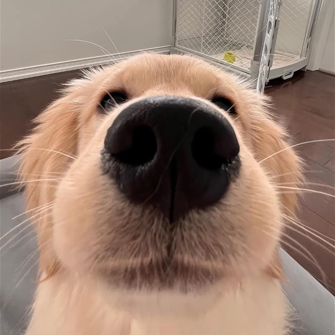 先睡了吧