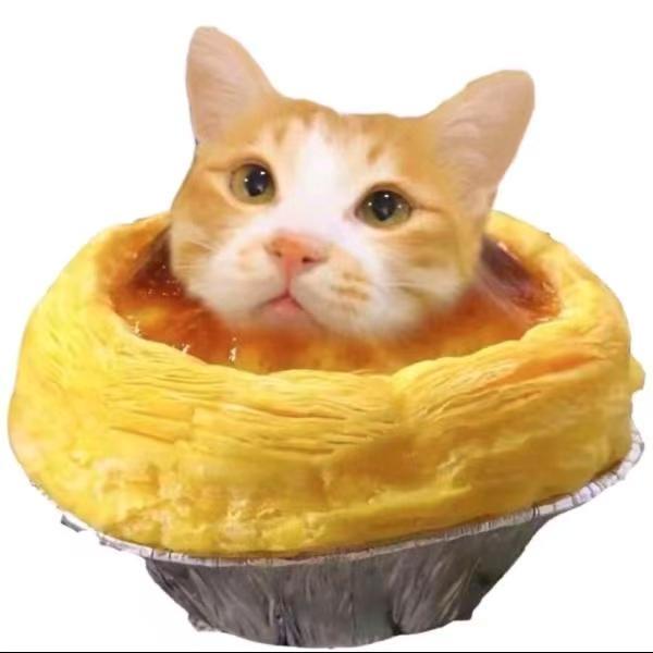 春千栀