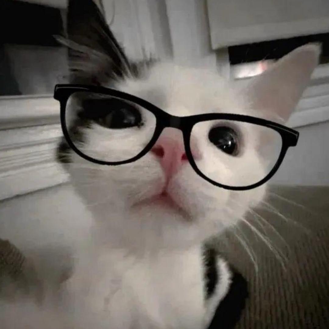 nimimomo