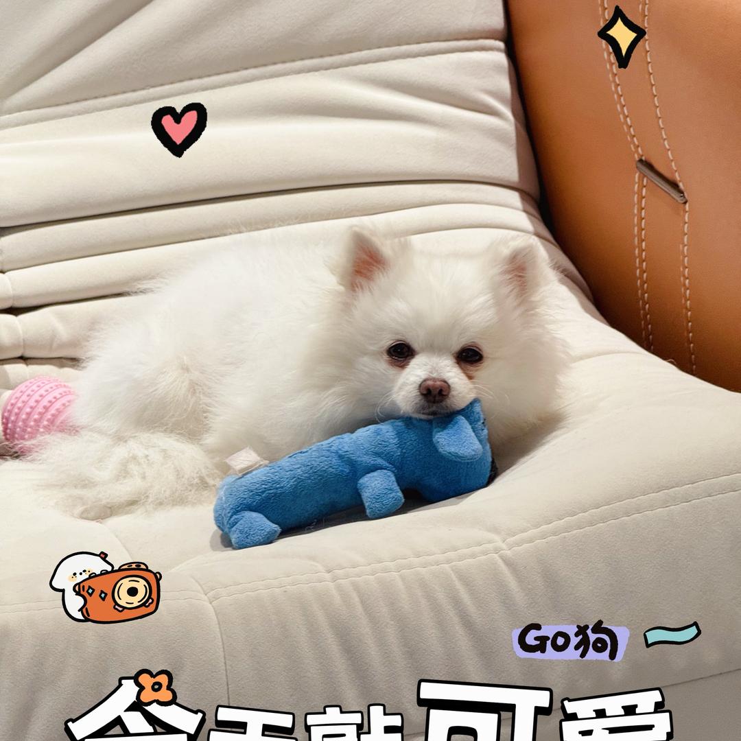 🏠小豆芽