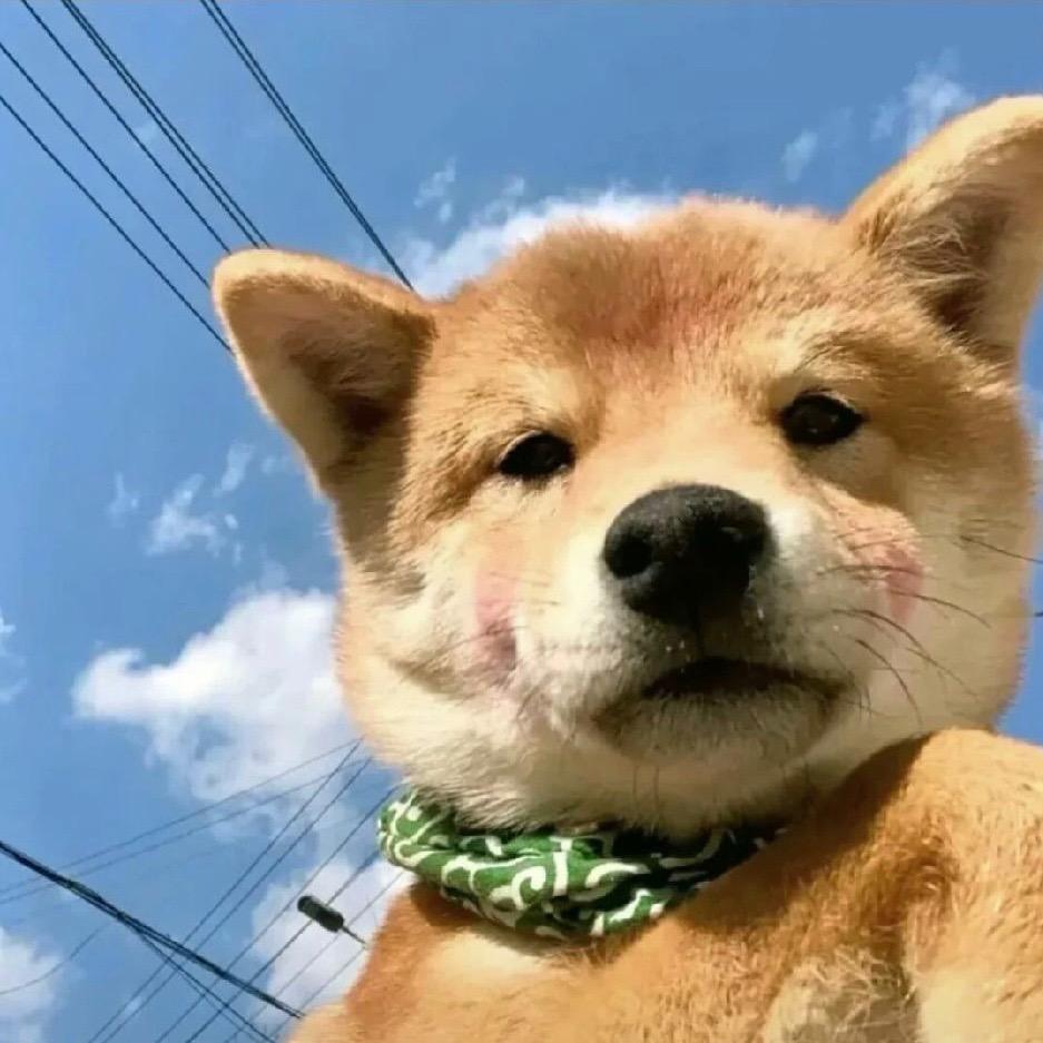-念旧🍃