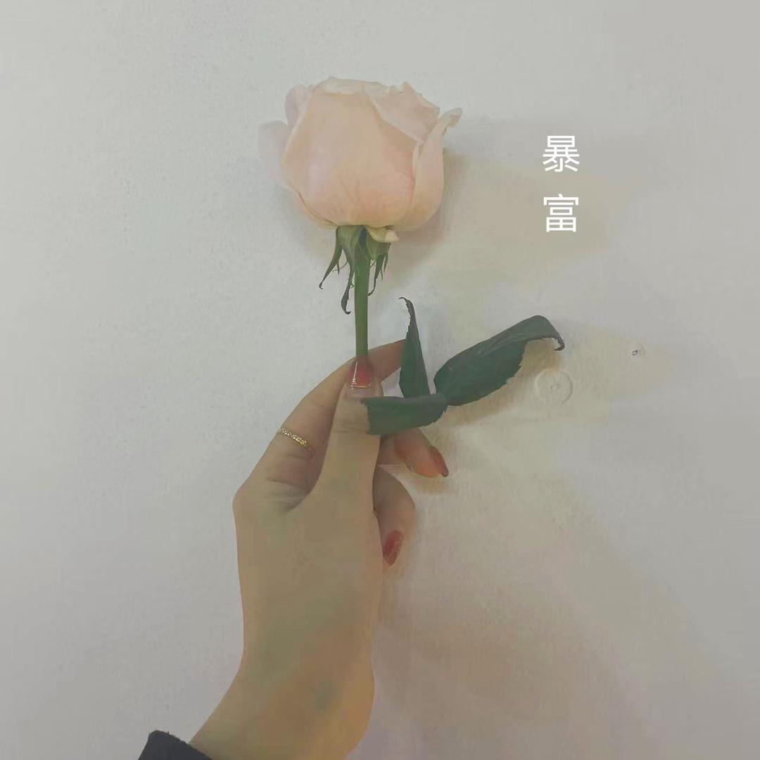 拾柒✨