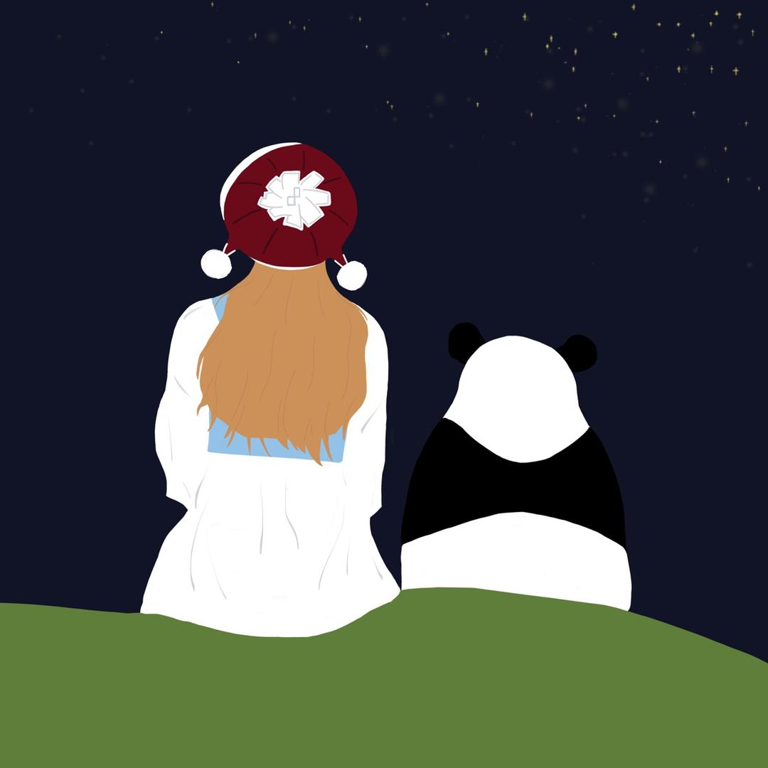 panda不冬眠