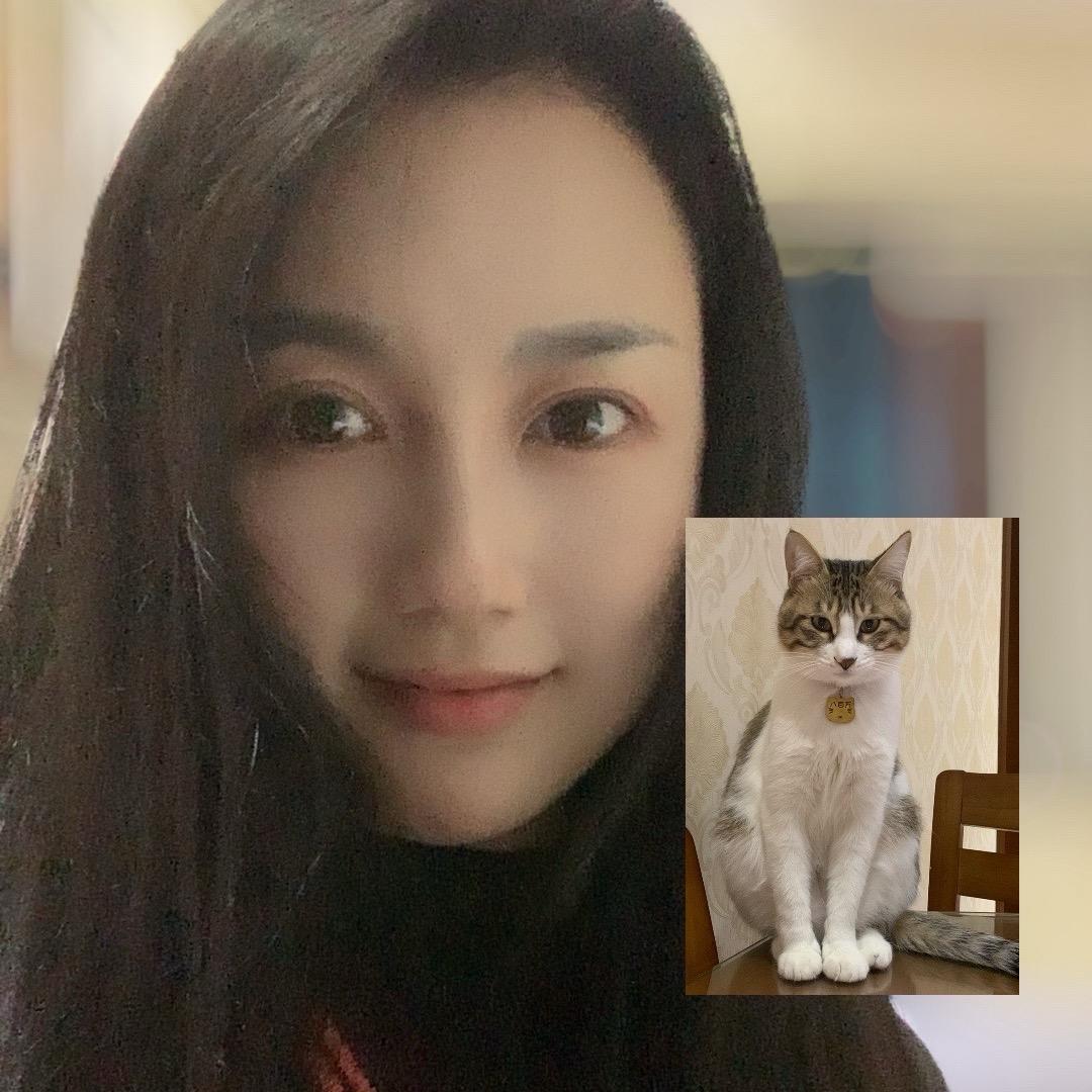 款款和她的土猫