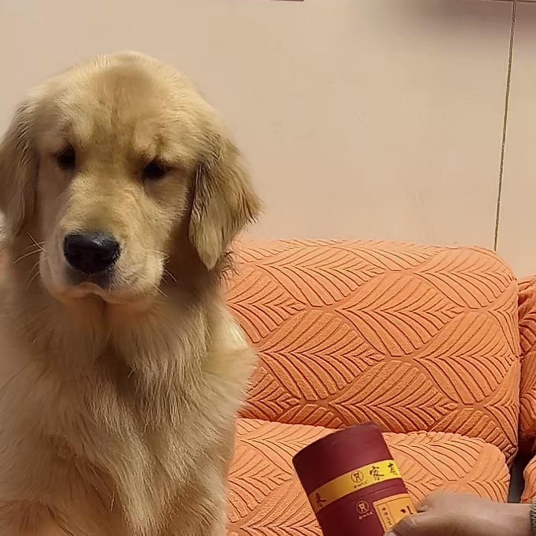 记忆画卷