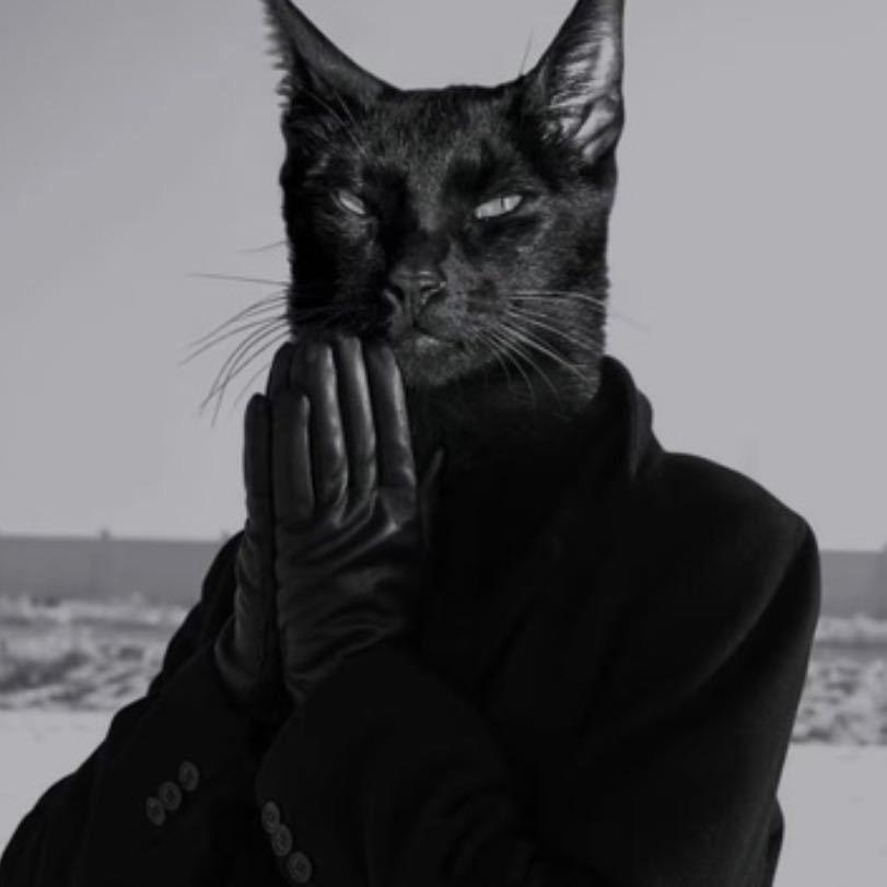 重生之后我在开🚜