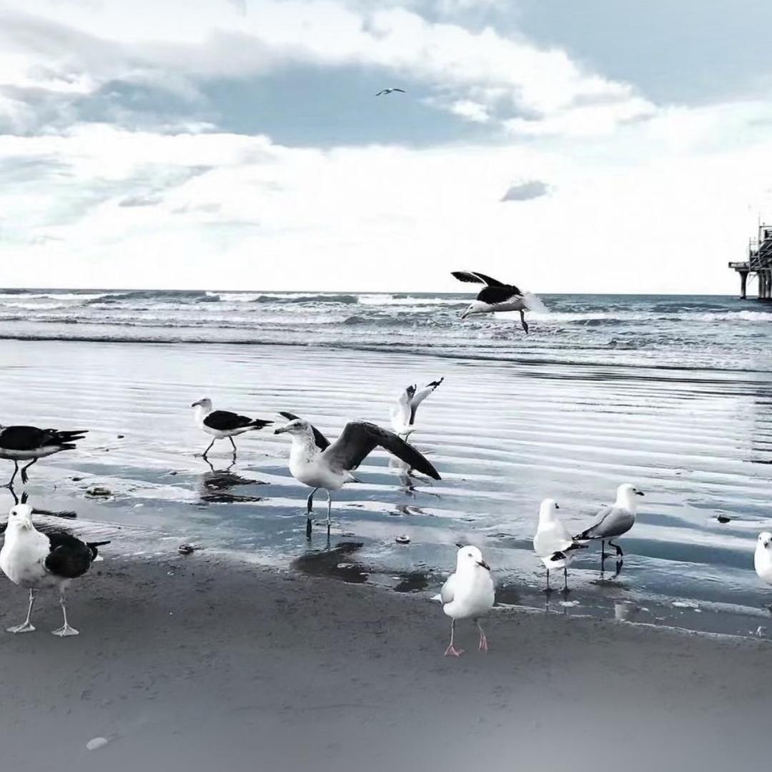 济阳区彦烁代驾审车服务中心