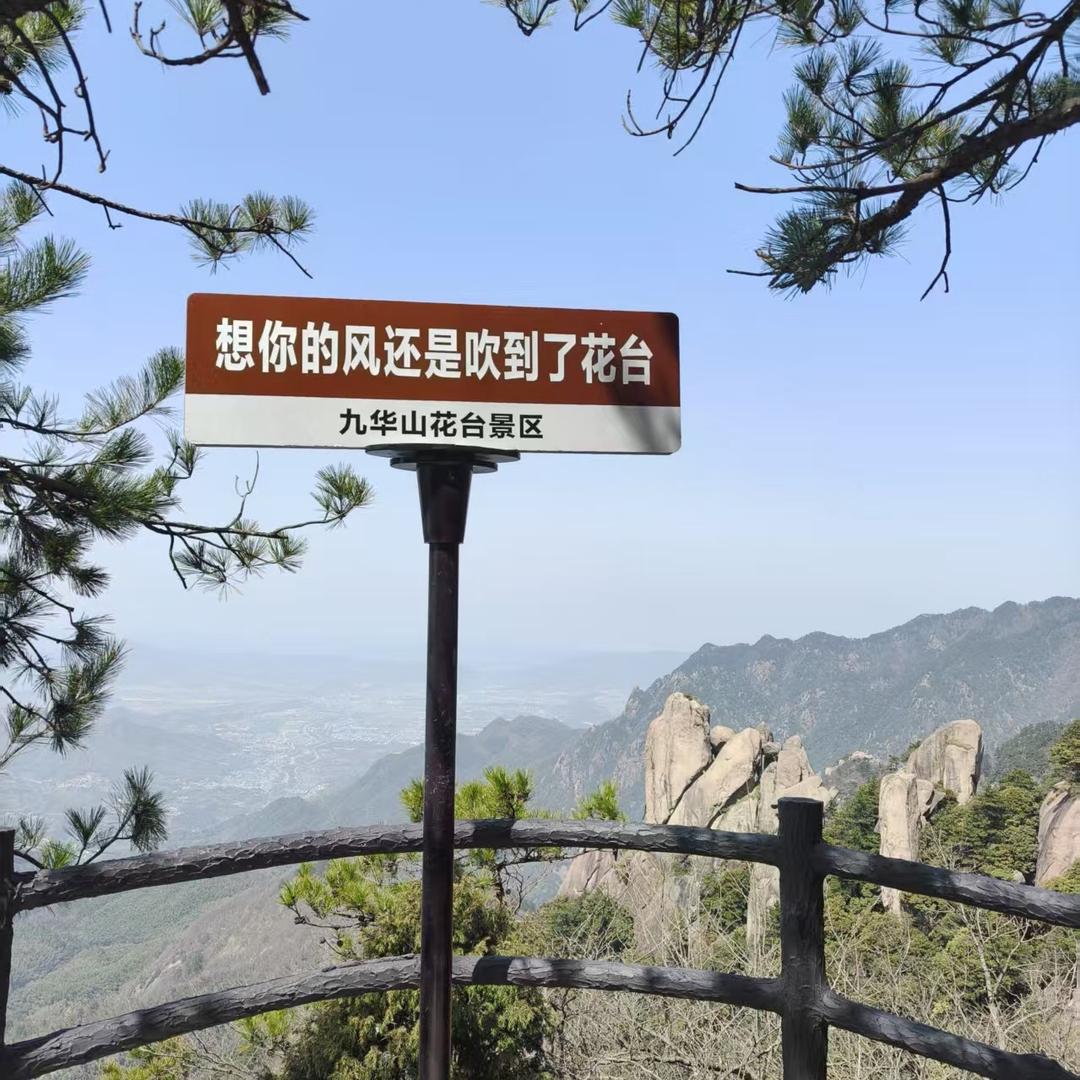 米宝