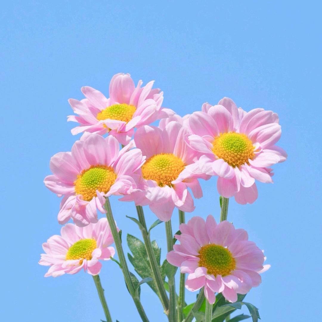 田园小碎花